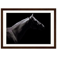 b753ad90-c423-460f-a839-d3a0053240b9