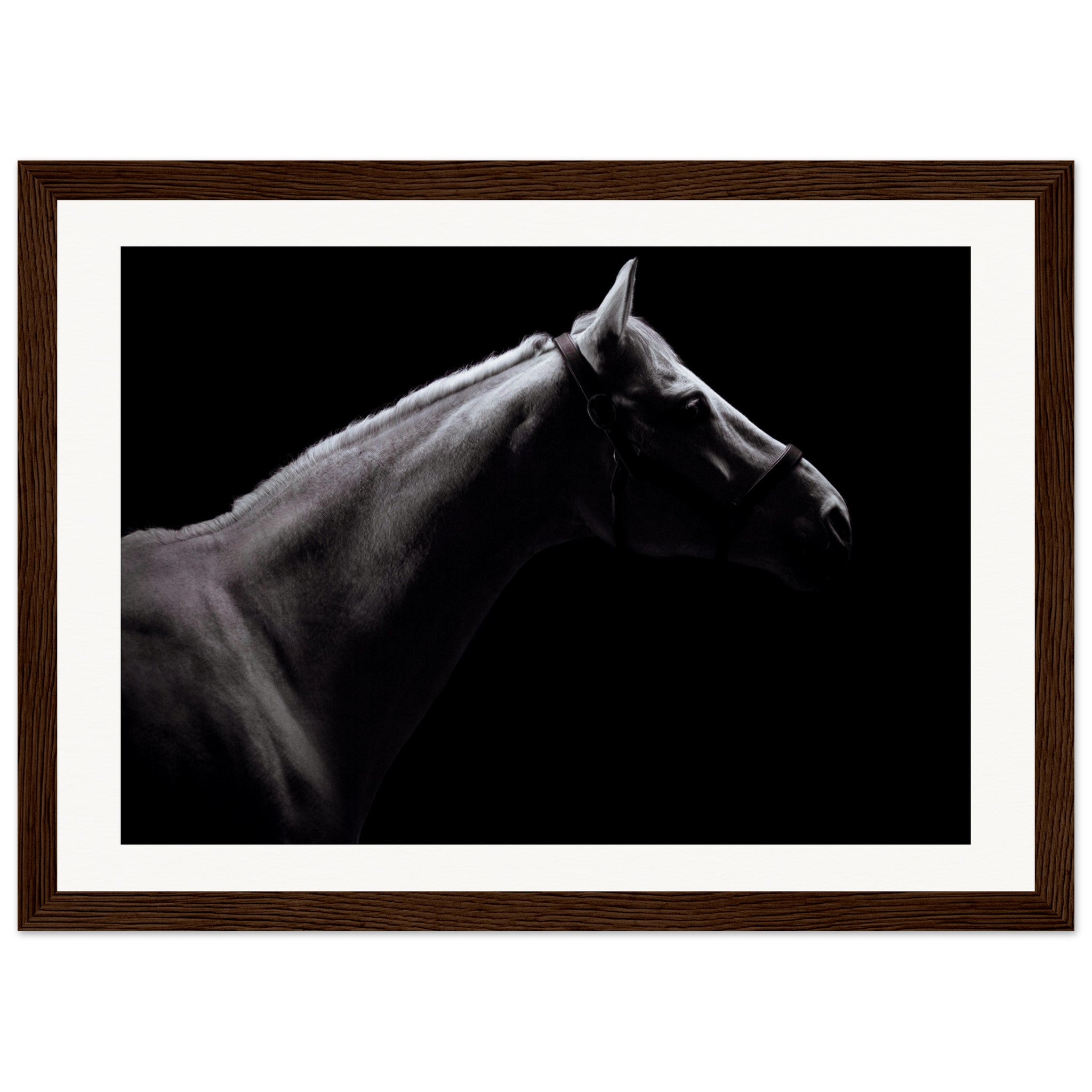 b753ad90-c423-460f-a839-d3a0053240b9