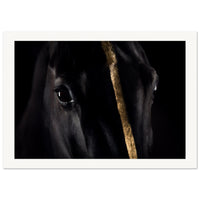 b75d2046-91e3-4939-a9e3-b164b7967f65