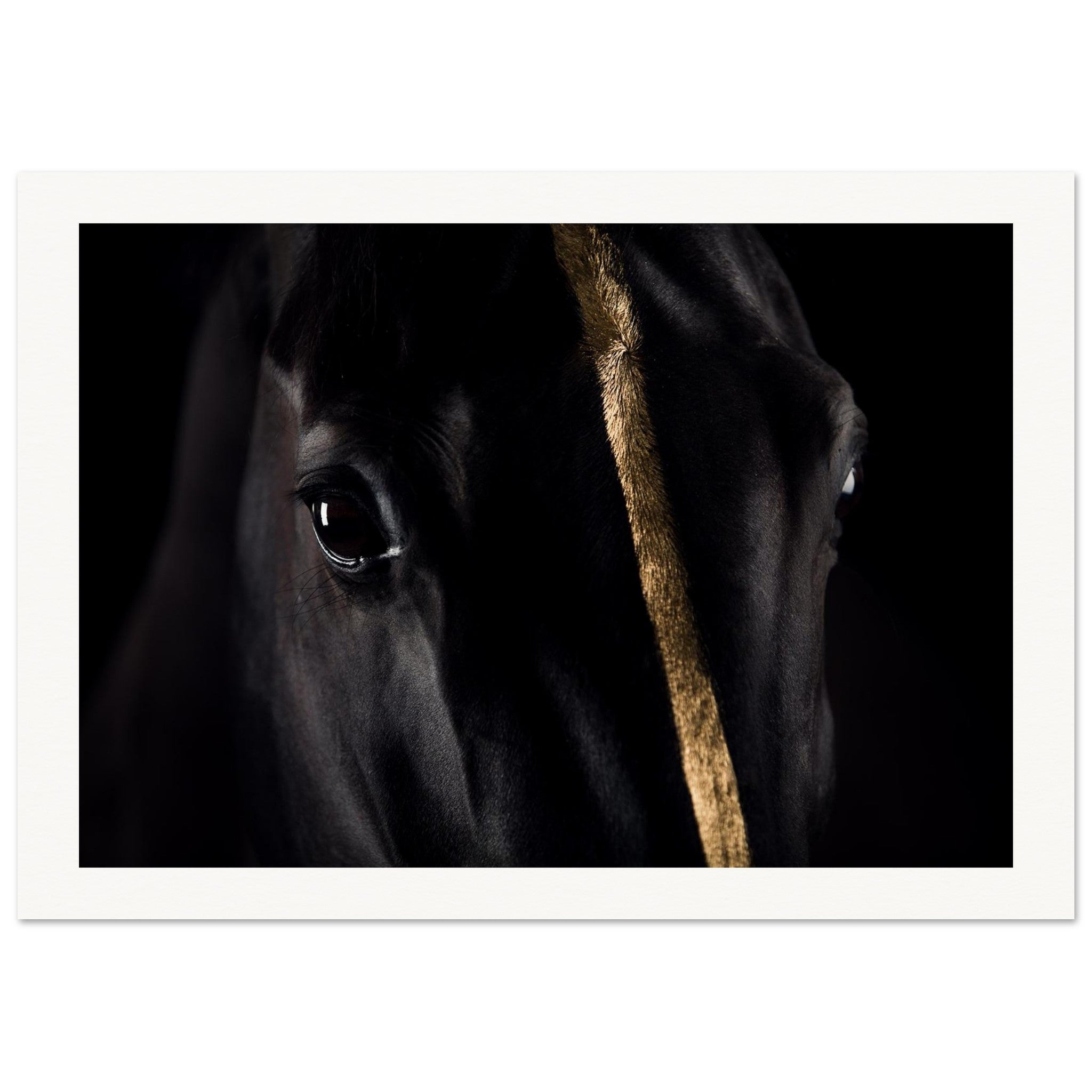 b75d2046-91e3-4939-a9e3-b164b7967f65