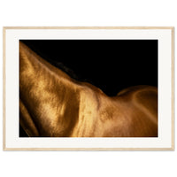 b799e75a-a09d-4345-ae3e-466179d5a462