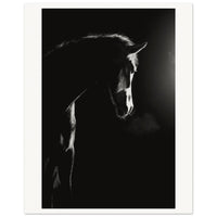 b7e44c65-7ade-43f4-af6c-e6324add982d