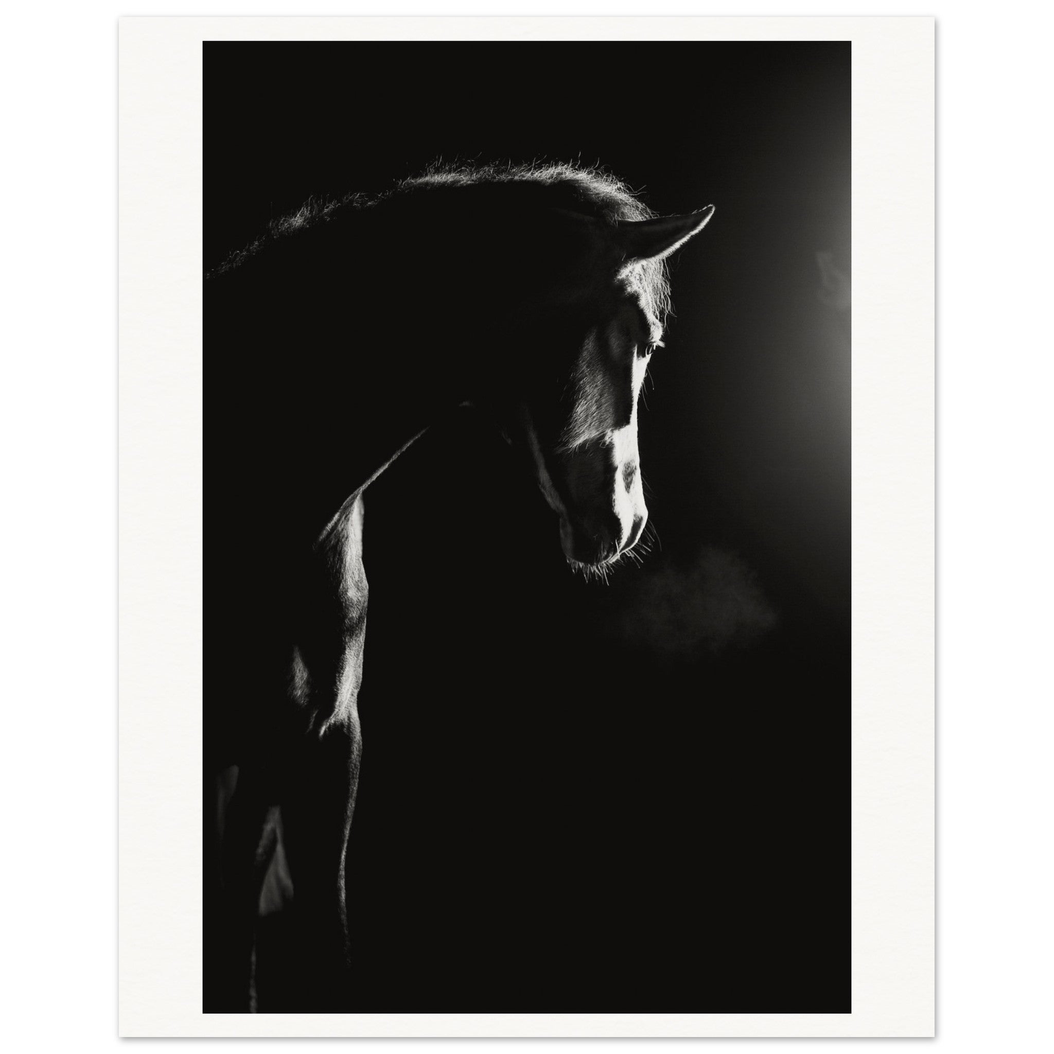 b7e44c65-7ade-43f4-af6c-e6324add982d