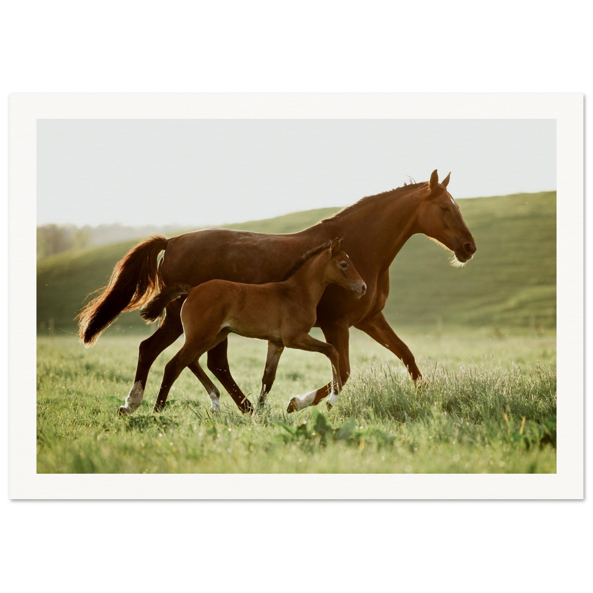 b82cbed7-c91e-4efe-ac11-b040aa771728