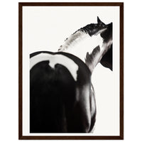 b83b6cae-57af-4c76-8f39-e8a88aa94912