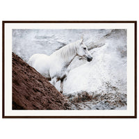 b8577de3-3a1c-40b2-a67e-90fbdc6269a5