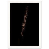 b86bd731-e898-421e-b60c-3a1b099b4b28