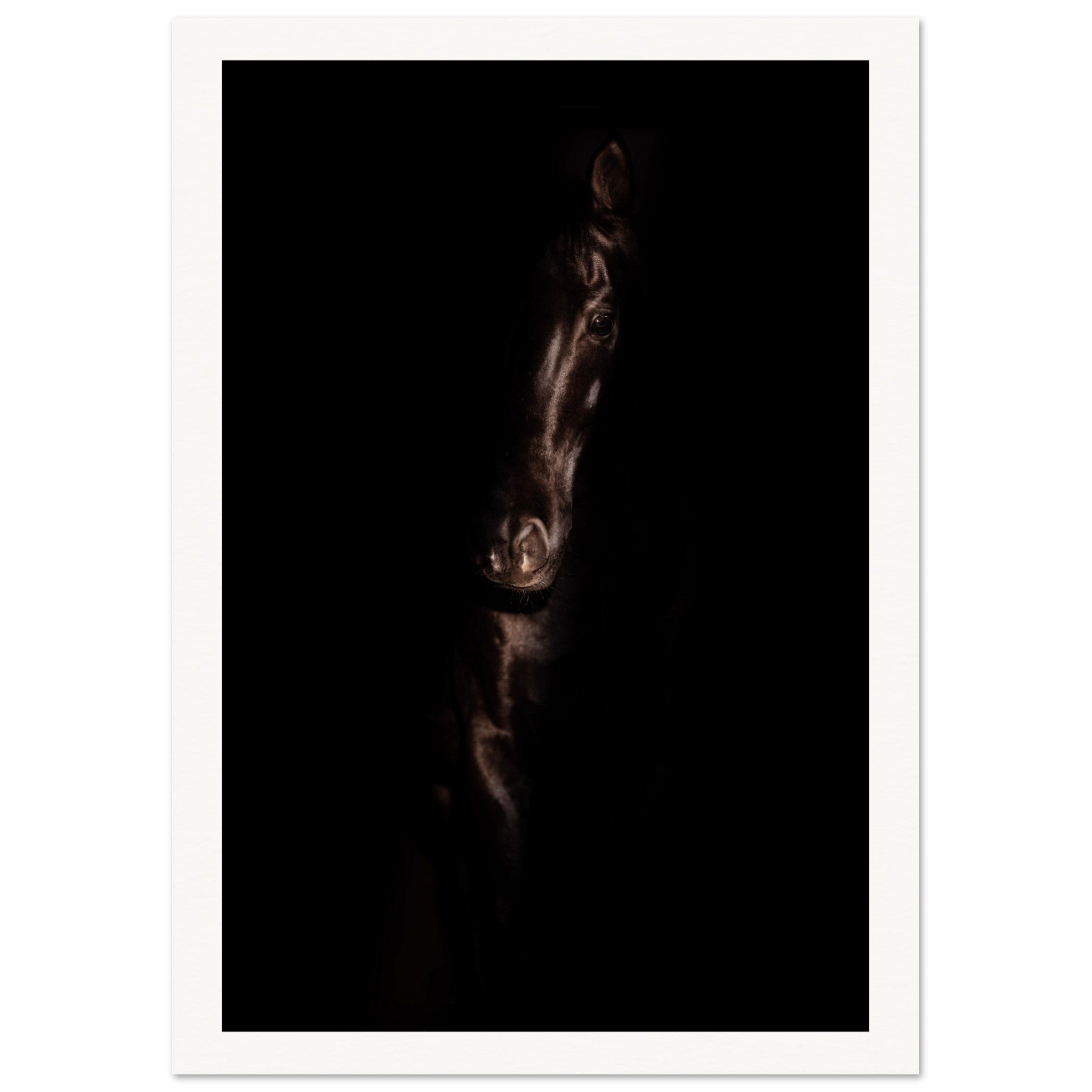 b86bd731-e898-421e-b60c-3a1b099b4b28