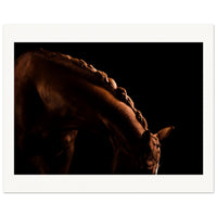 b88c7b7e-d1e5-413b-a998-8b7157f2e8e3