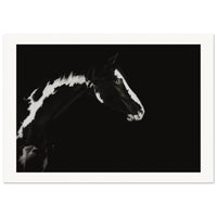 b8c70273-77fd-49e4-97b6-2746c1e58e45