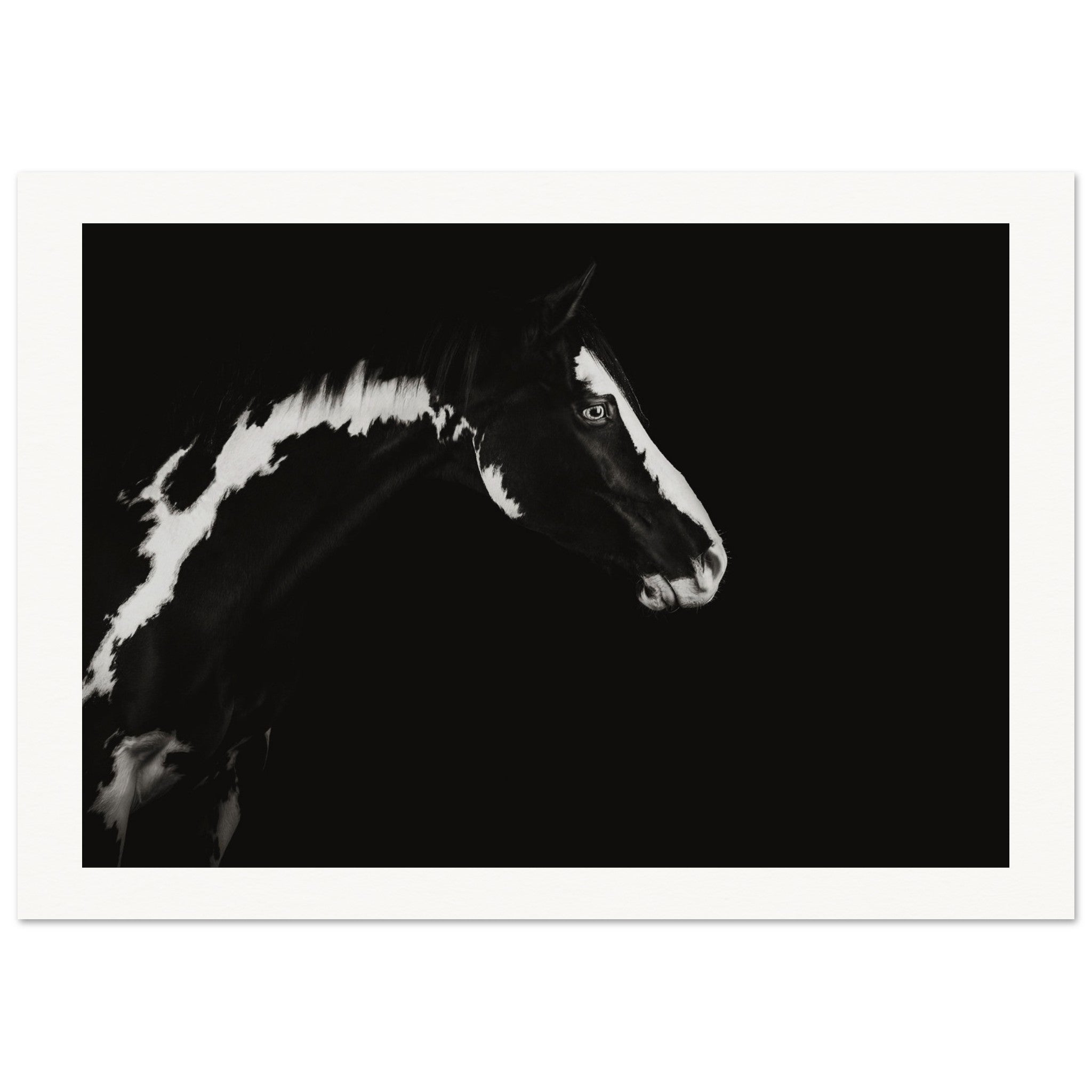 b8c70273-77fd-49e4-97b6-2746c1e58e45