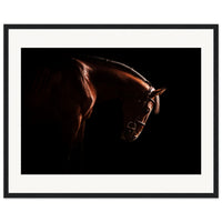 b8d79a26-ae74-4c2b-911e-fd9110a2b91d