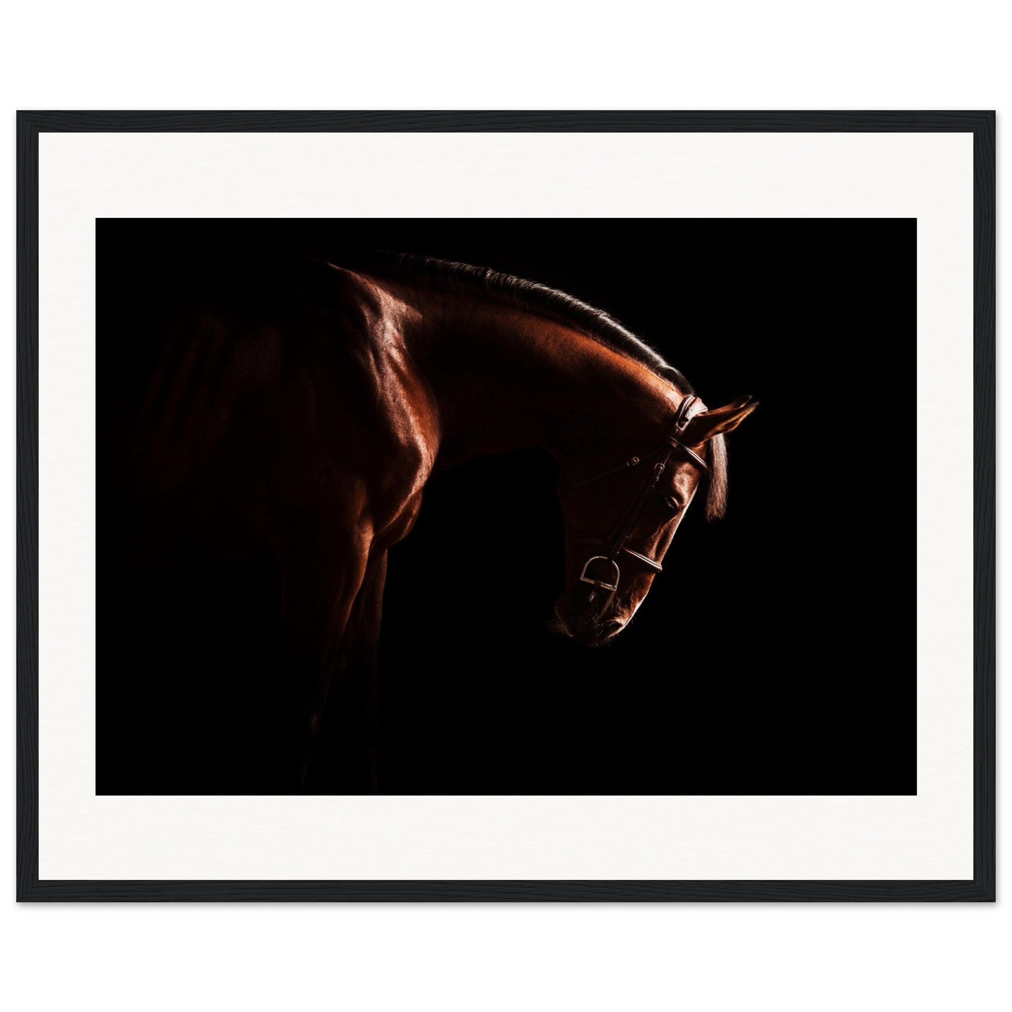 b8d79a26-ae74-4c2b-911e-fd9110a2b91d