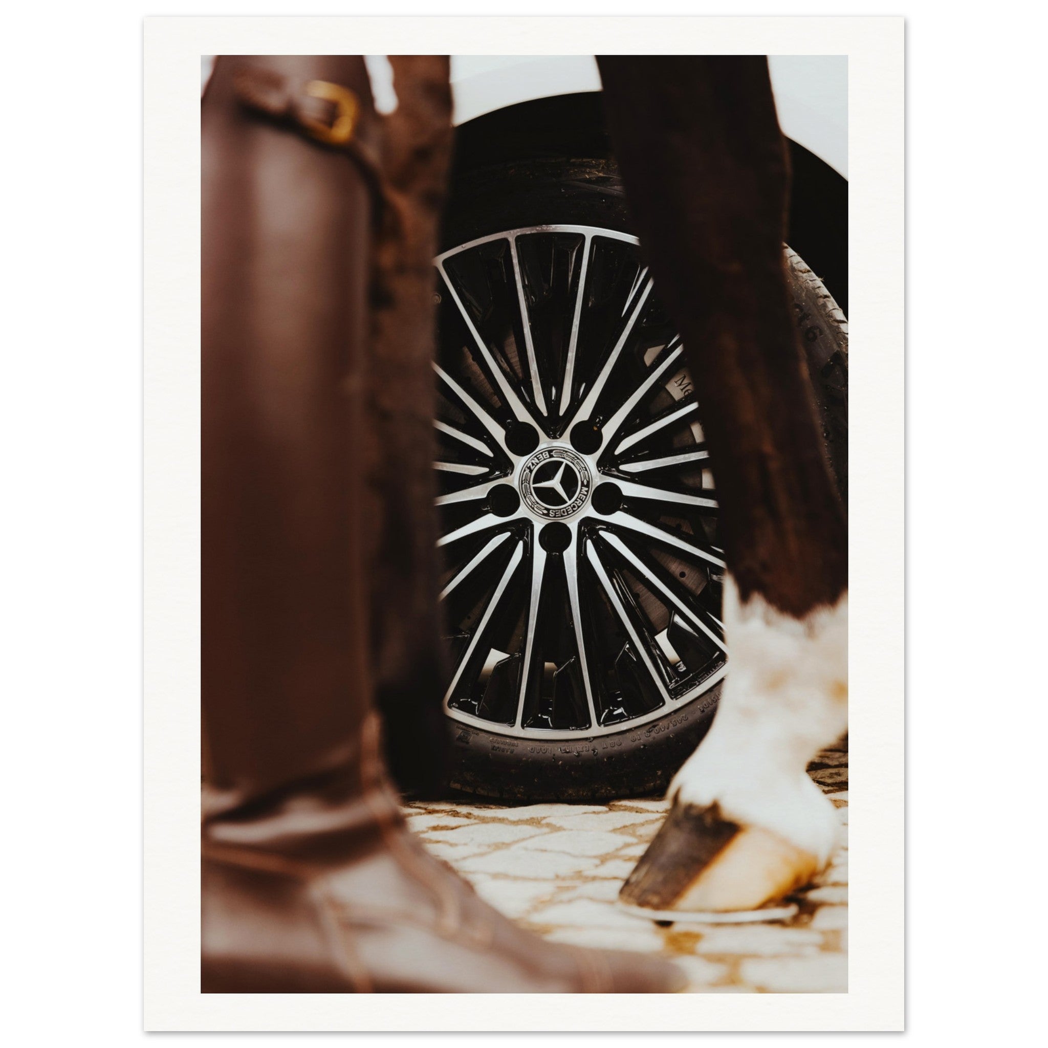 b930fed5-db96-4989-a87c-6243097da8fe