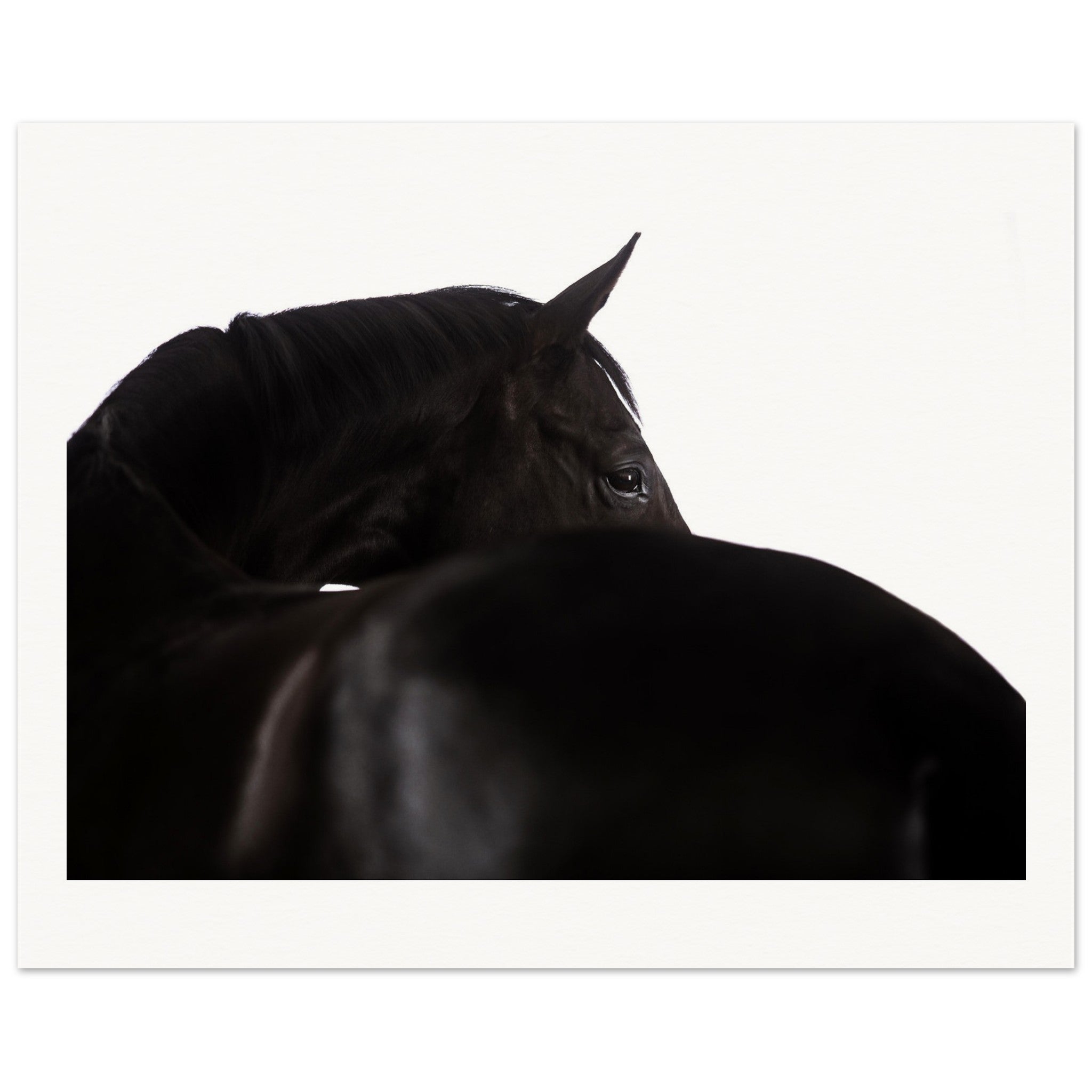 b98dde25-1cf2-4463-874b-0cf7eb5559d1