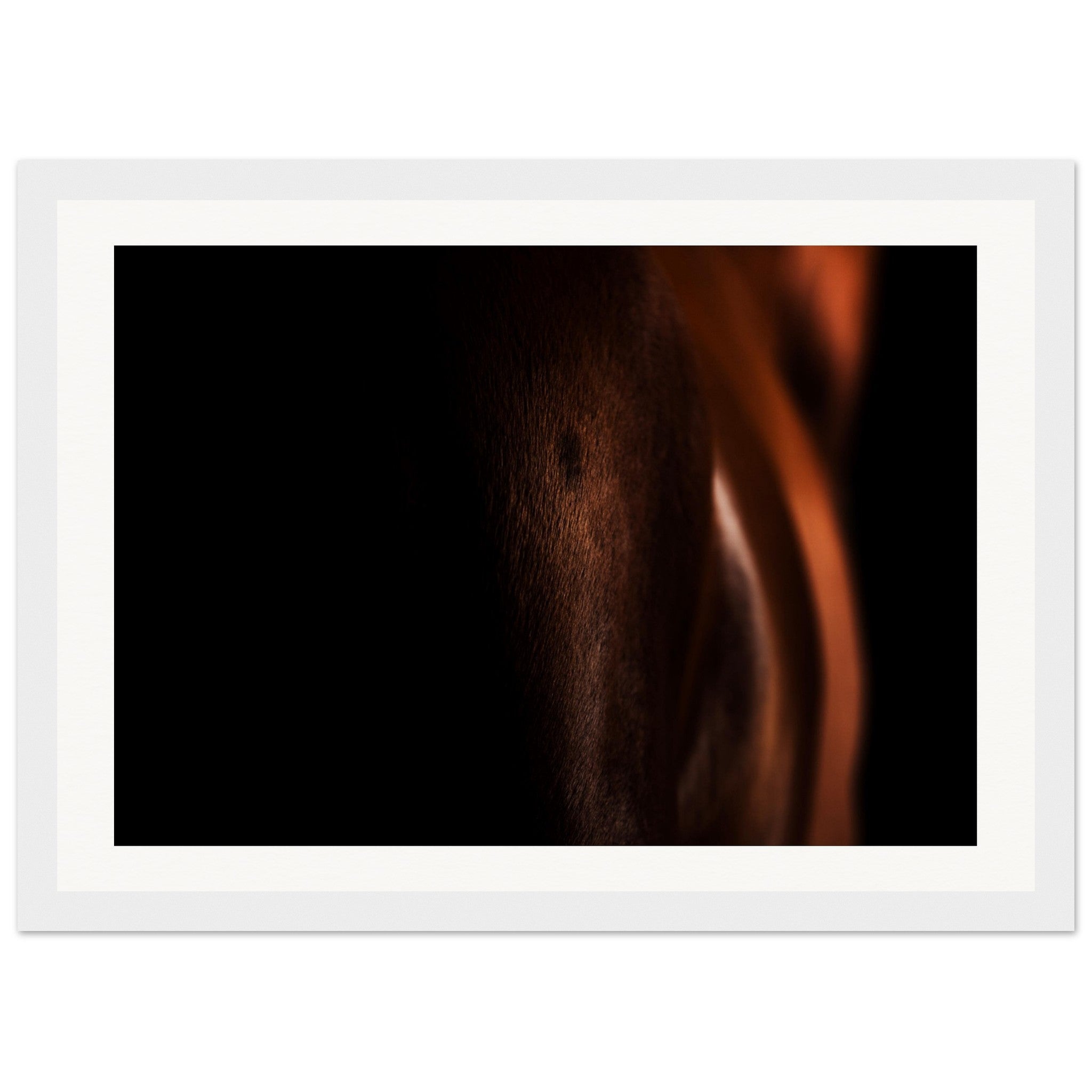 b9947333-f8c1-4b6c-8e41-9dc4046ae816