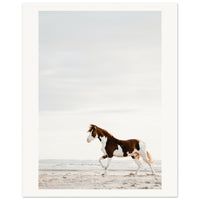 b9b6f079-dbf8-4a21-ab4e-bb5466d4c6be