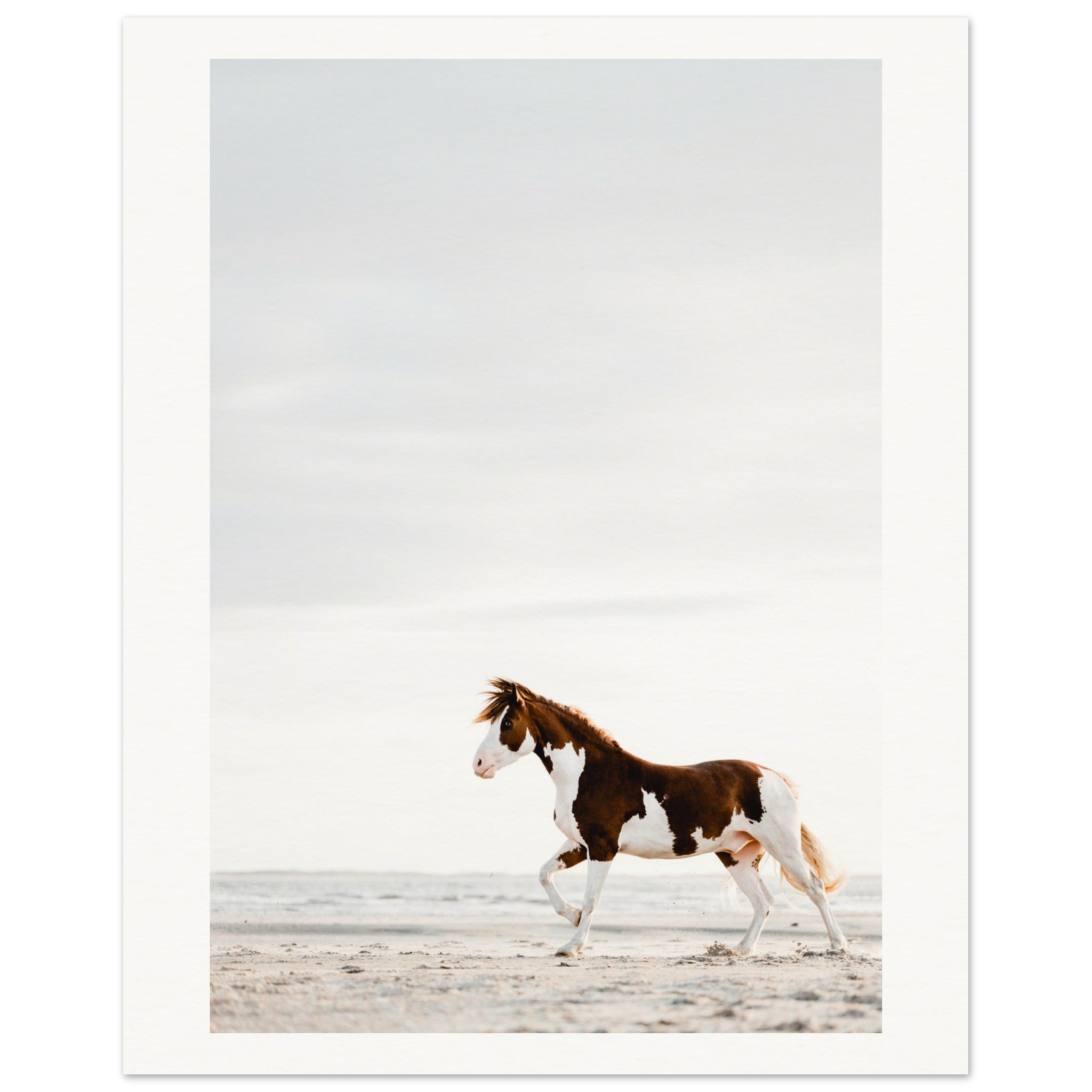 b9b6f079-dbf8-4a21-ab4e-bb5466d4c6be