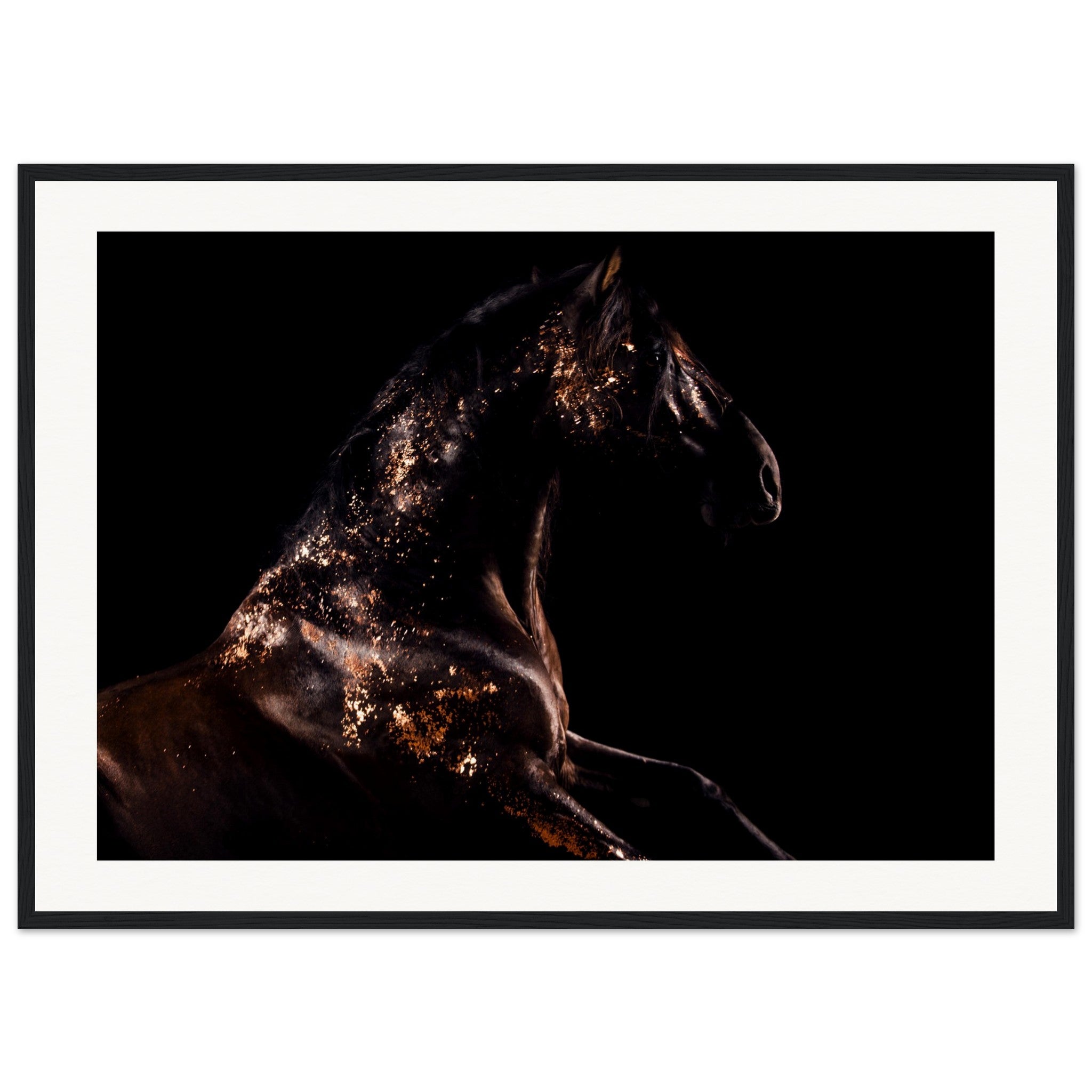 b9bb081d-8ef8-480c-8f3c-73fc18c98c9e