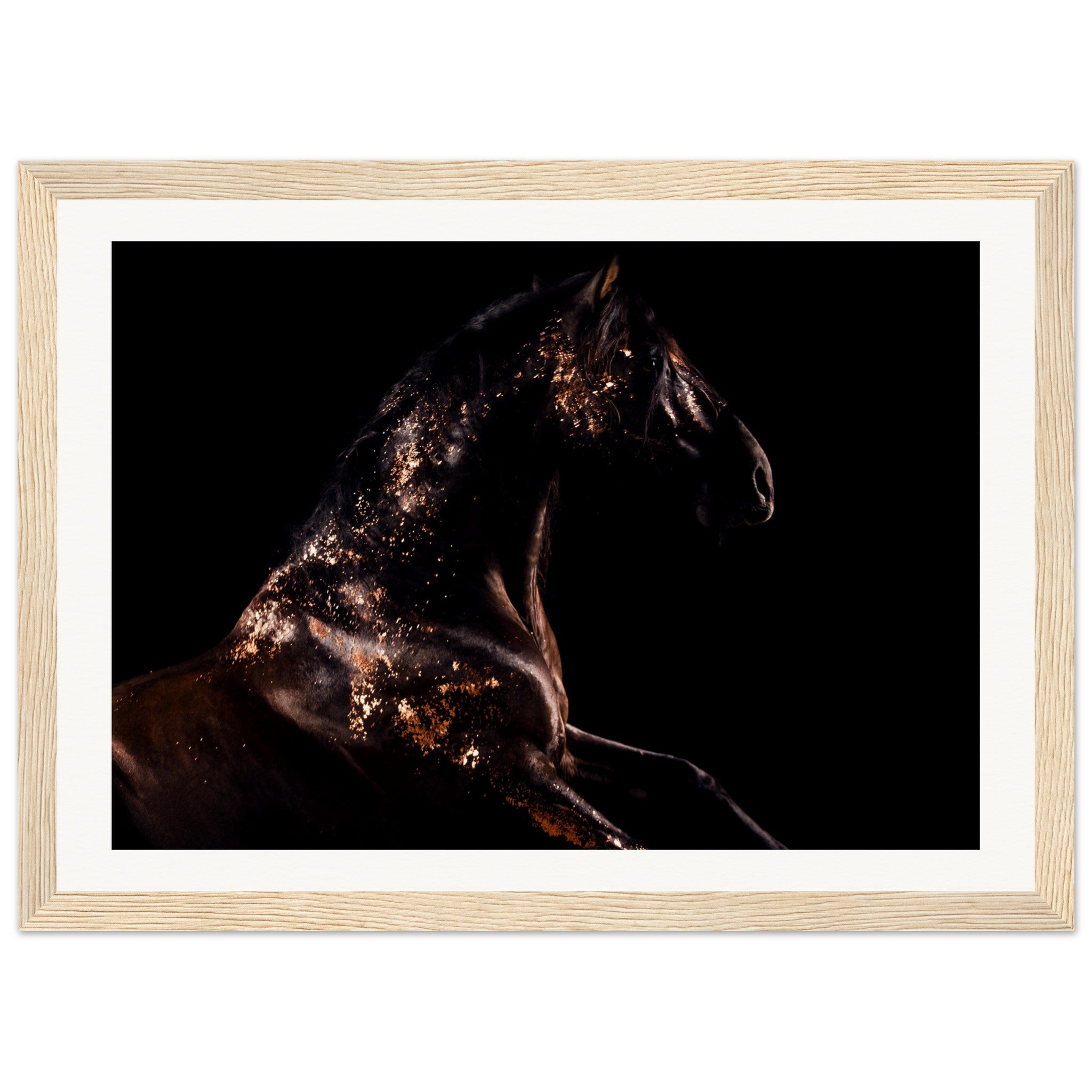 ba0046db-3737-4104-a0af-8ffd965d391d