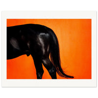 ba83e71e-4393-4f7f-92d1-f4ae301c7378