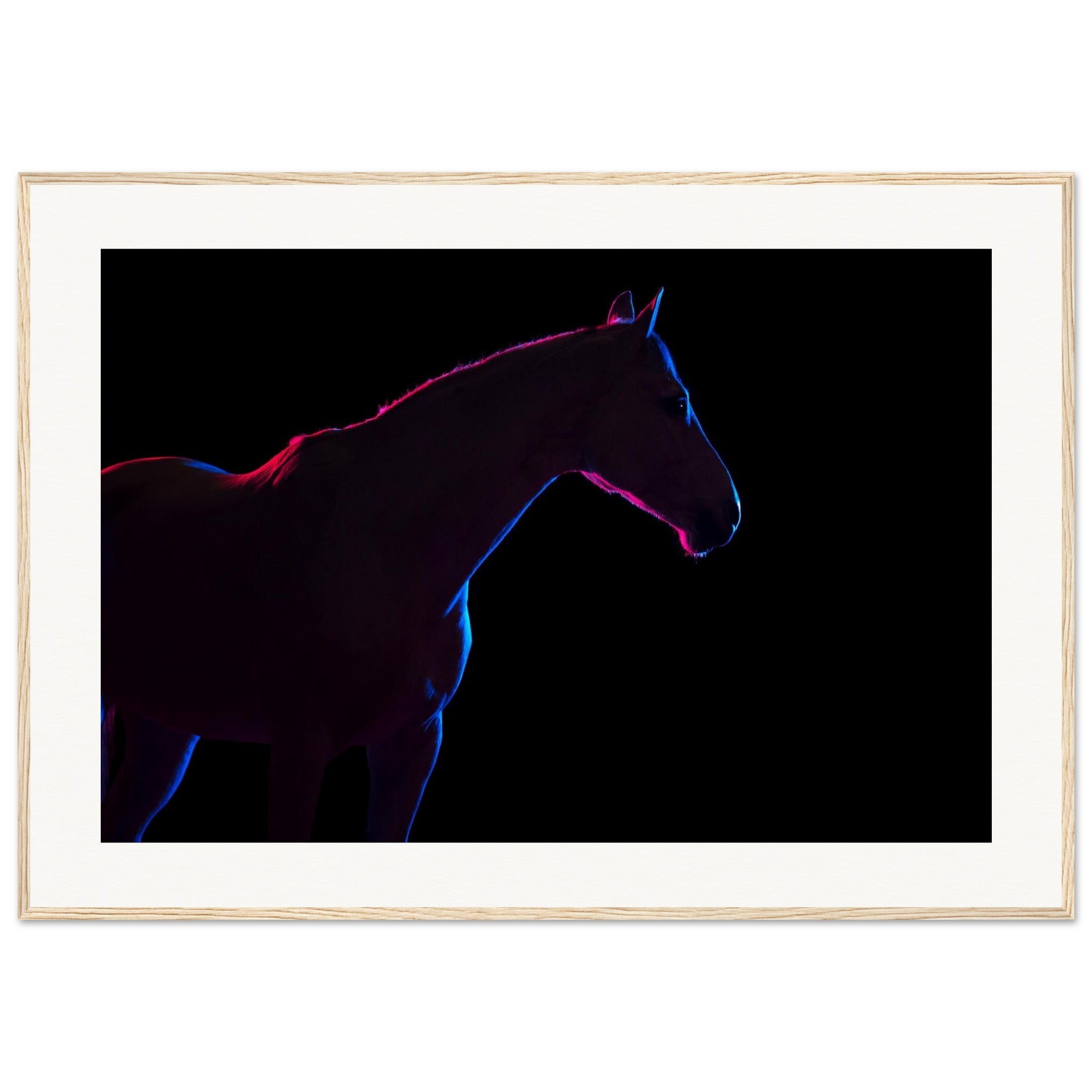 baa2c815-66cf-4b2f-ab50-9707dfef9c54