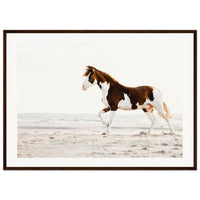 bb1e7251-01f2-47be-aad9-562cde9294a4