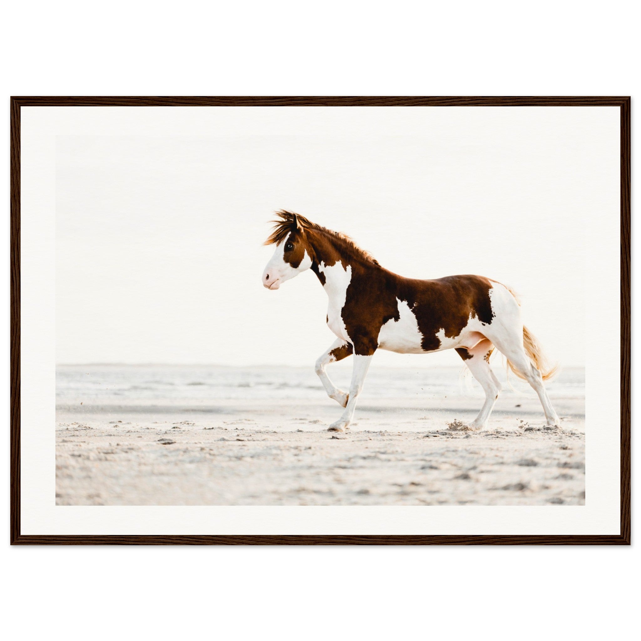 bb1e7251-01f2-47be-aad9-562cde9294a4