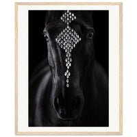 bb2b7509-cf6f-4829-85cc-f2c2c9f4ca5c