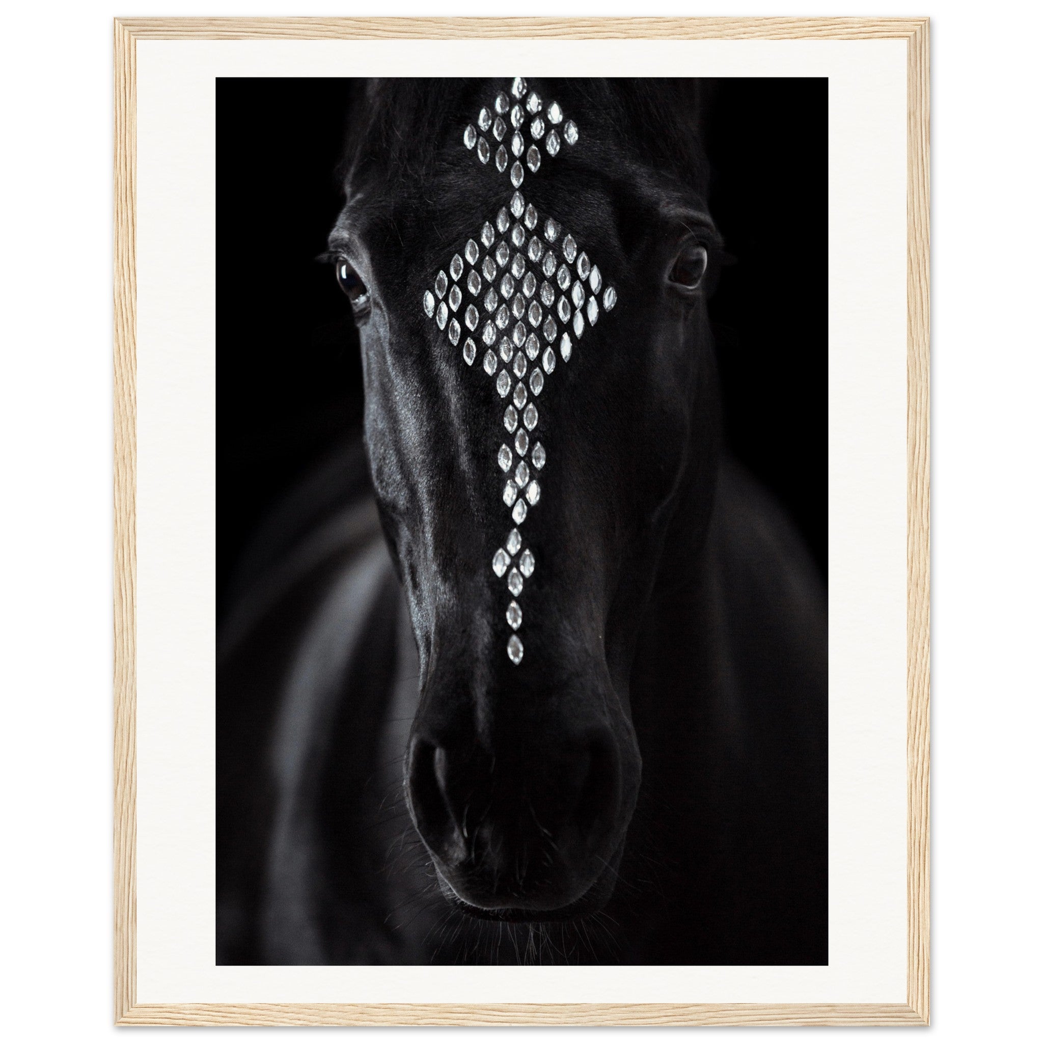 bb2b7509-cf6f-4829-85cc-f2c2c9f4ca5c