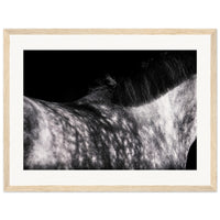 bb448f87-b7b9-48ab-92ec-fde6e4a33827