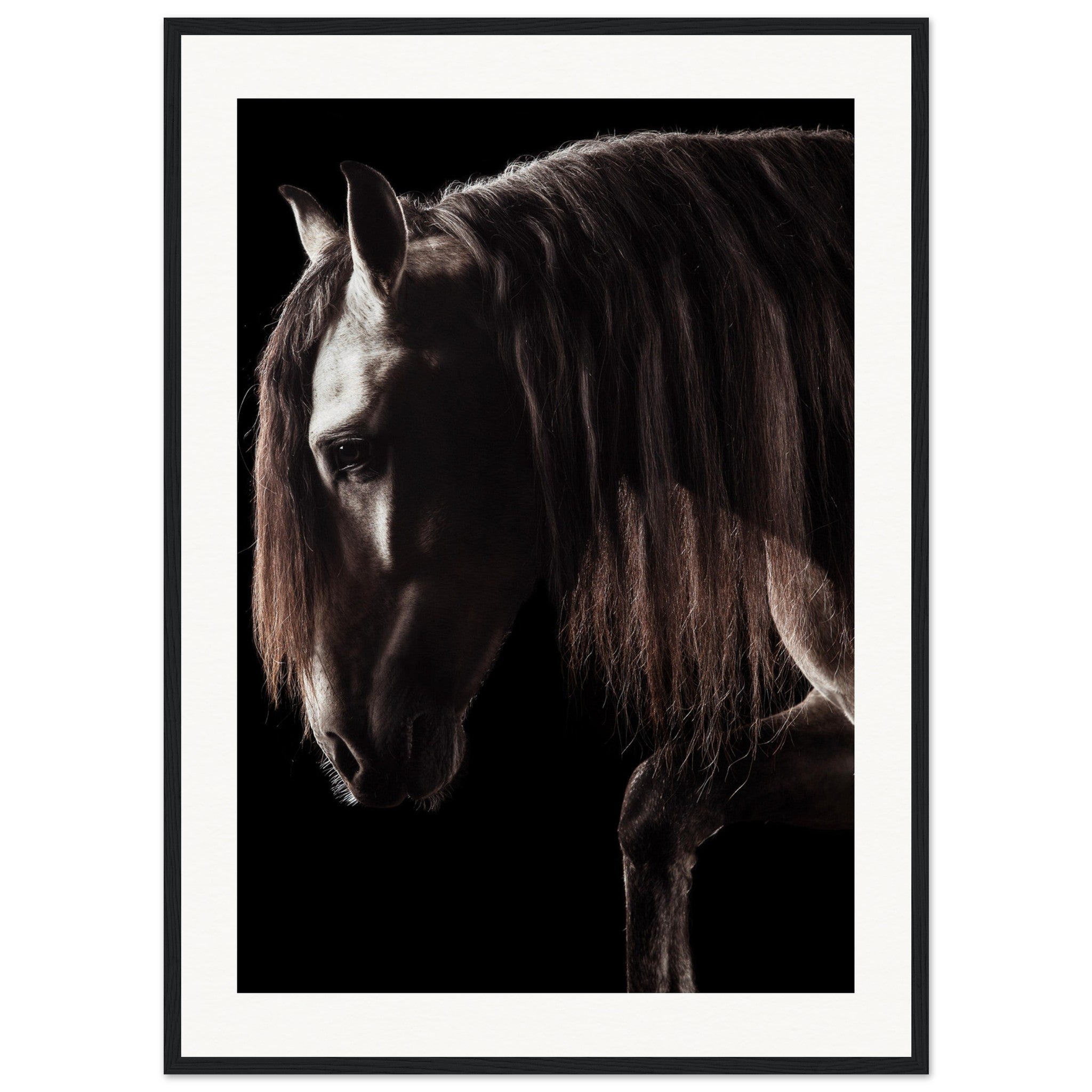 bb4e0e11-d7f9-4fe0-9b89-27ed0405d845