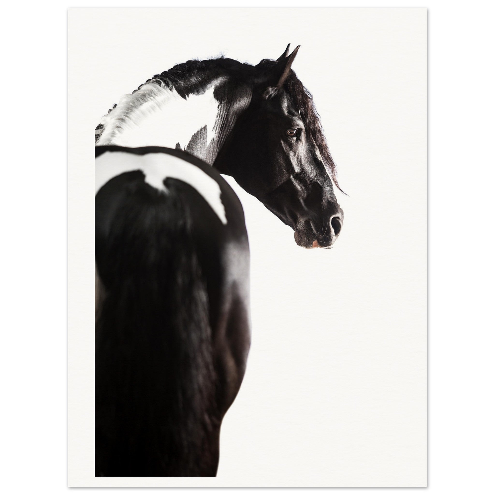 bb6bca8e-ddf1-47e1-b9d4-ec071ad97001