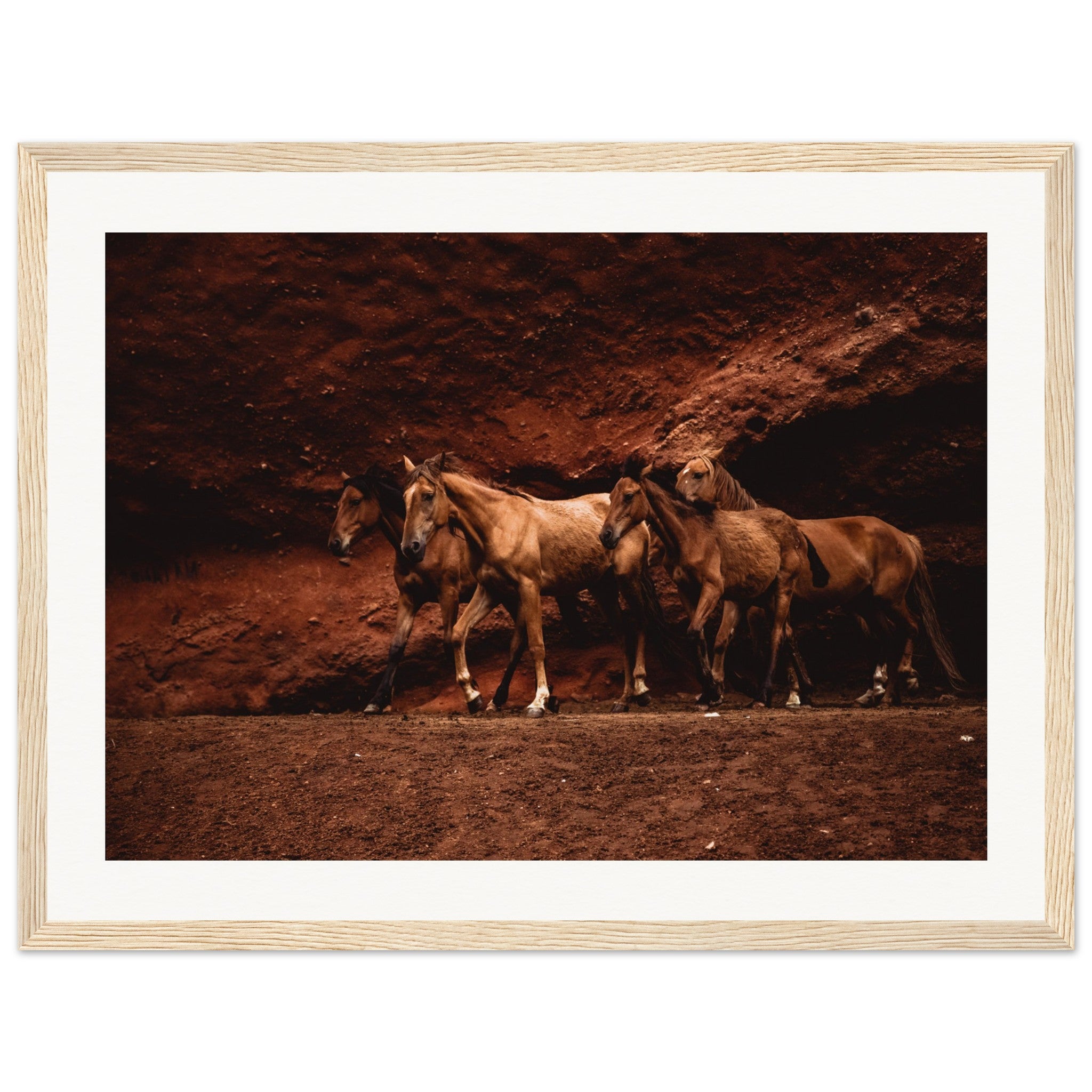 bb9b2fed-8556-4dfc-8540-e1c23a70e07e