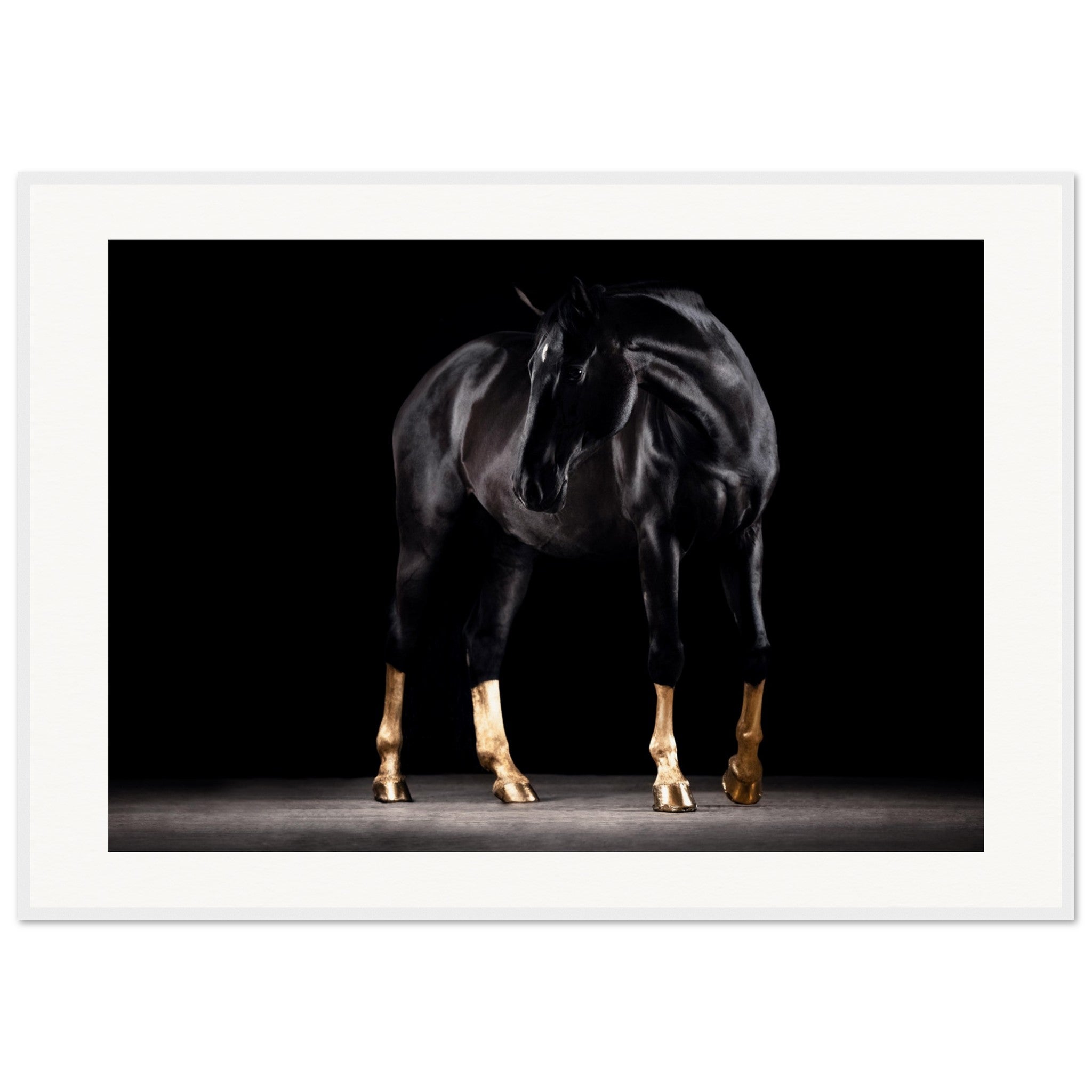 bbdec7a7-9f50-4913-8f0c-022e5a3a9721