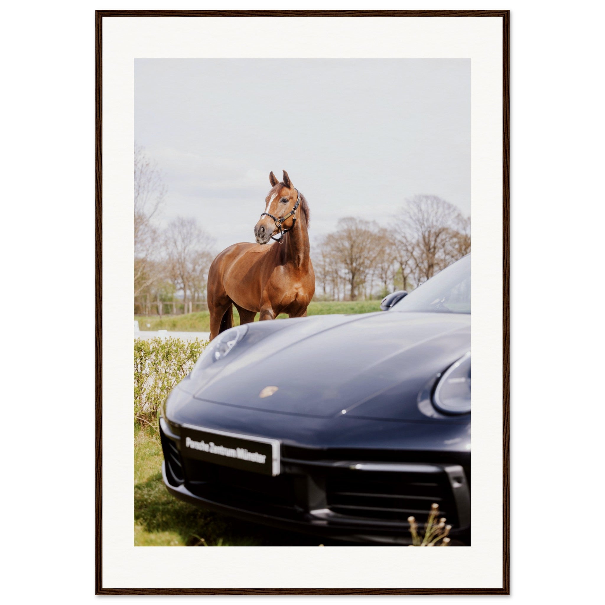 bbe36a70-6de9-474f-b7b9-d1aea02d000a