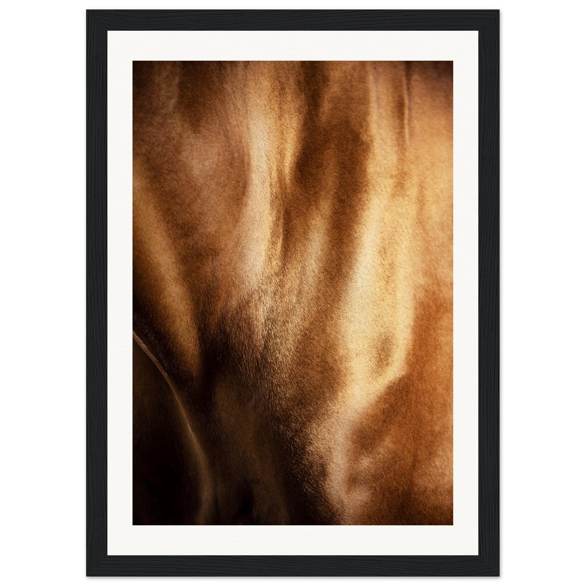 bbf9f3e8-dc64-43d5-a006-1d3447307d2b