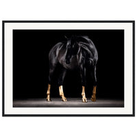 bc0b24a8-6198-4046-bbf8-6c5db891a455