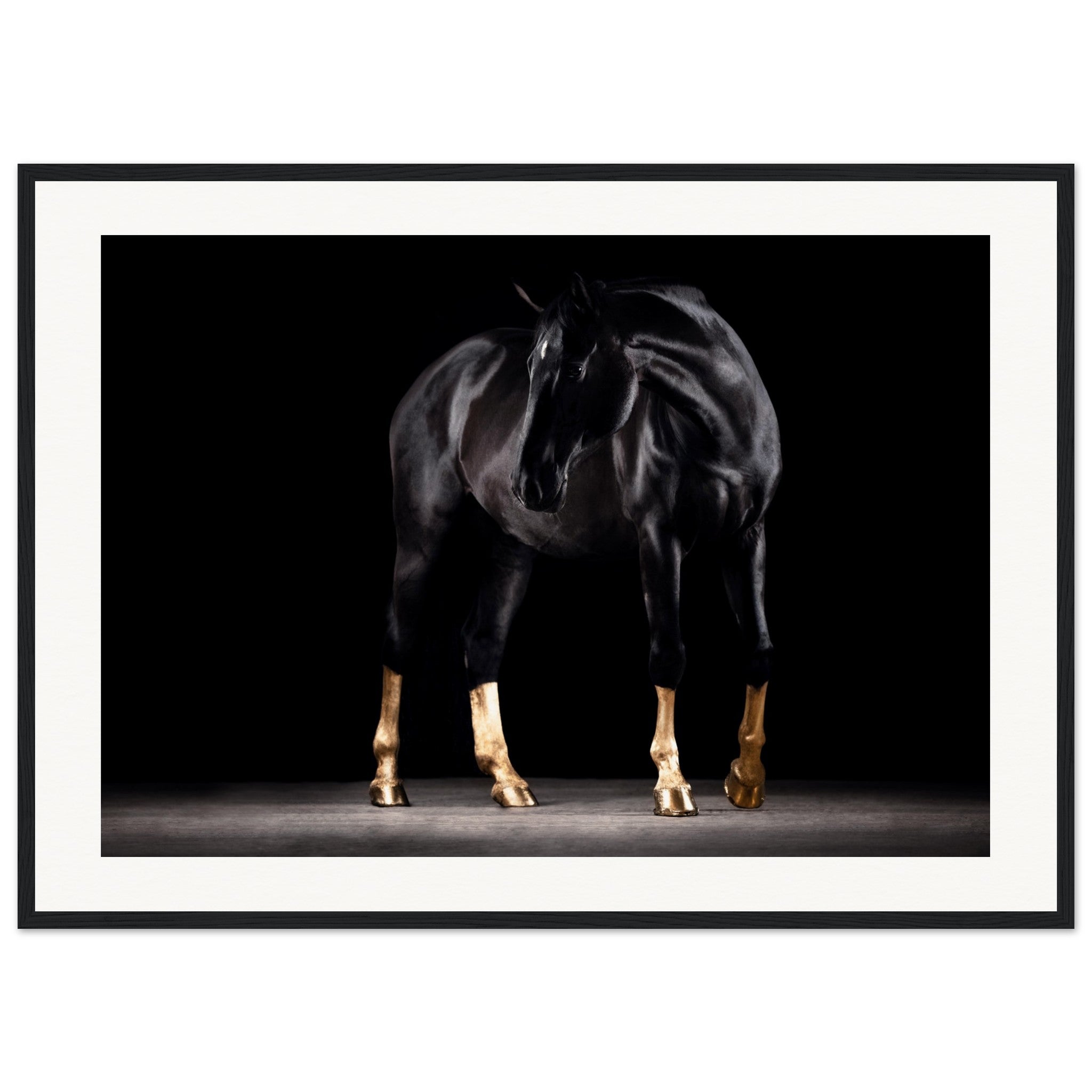 bc0b24a8-6198-4046-bbf8-6c5db891a455