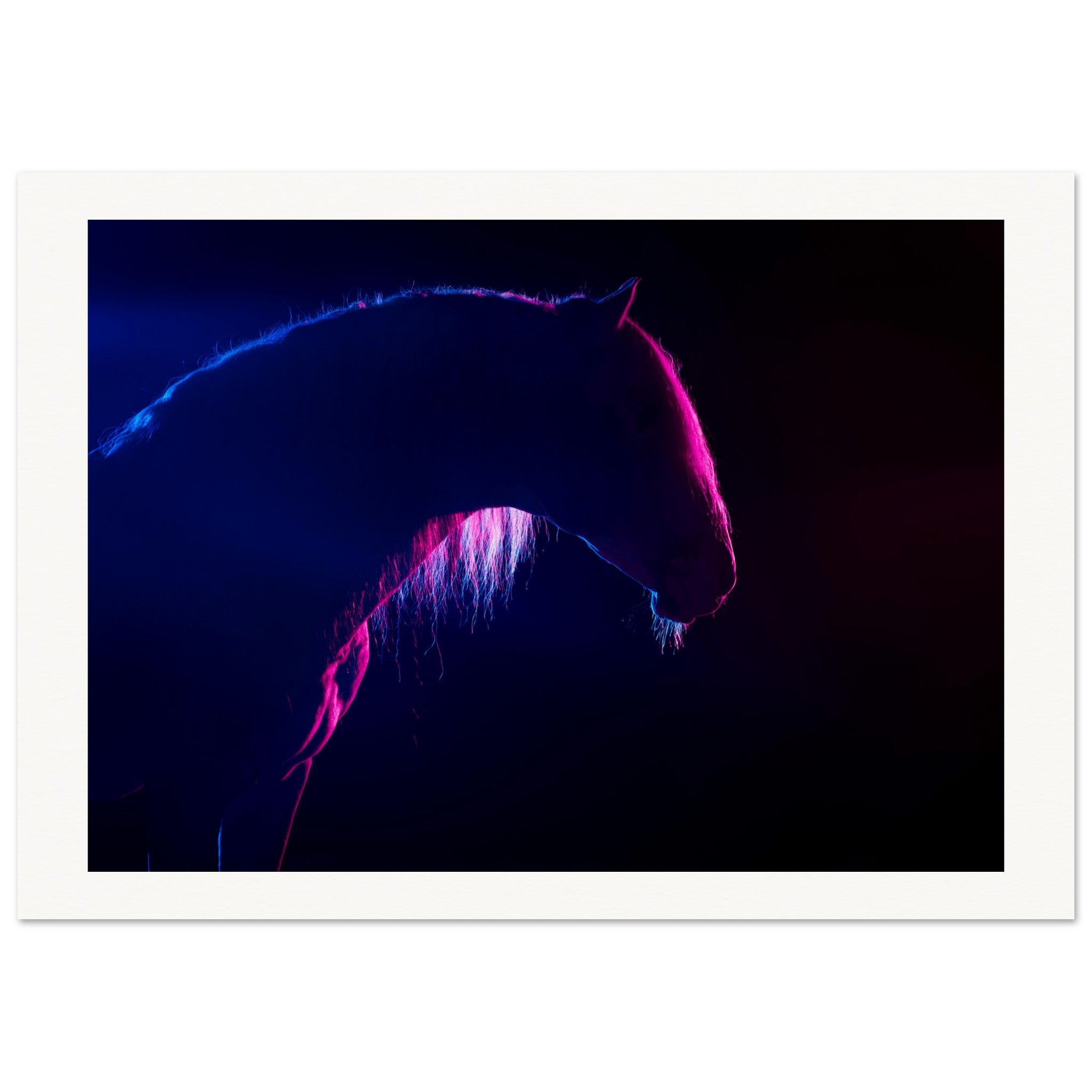 bc44a1ae-af53-437b-949f-14809a3ff3d0