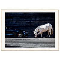 bc9c7f53-891d-4bcd-9677-5aa9240c8555