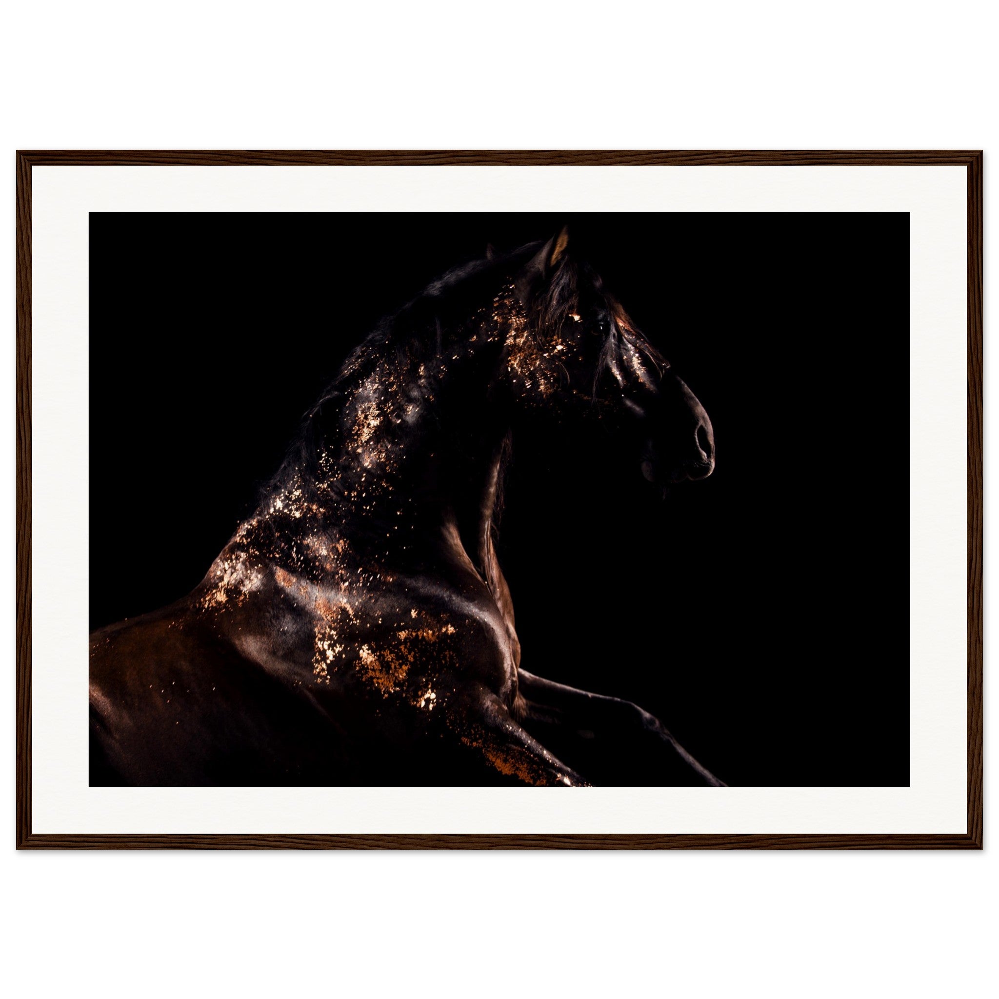 bca65357-43f9-4aaf-bf4b-b8b67353e776