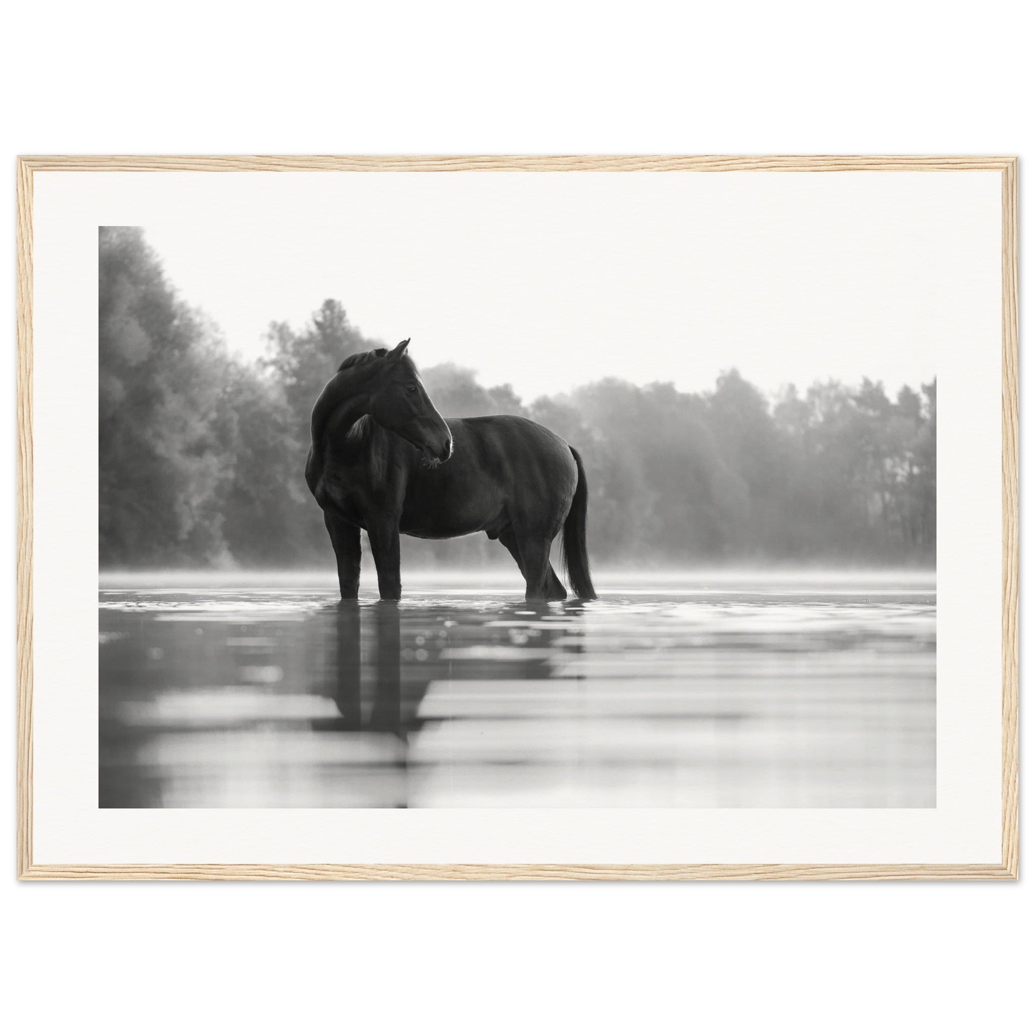 bcd2be2e-f074-46be-adb9-cd6c2e502f33