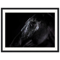 bcdf124f-b030-4906-8994-e5b5ab8ef545