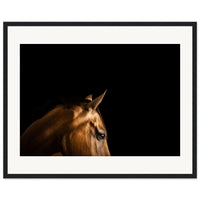 bd1710ef-fd80-4adc-a378-bf1dec27ee72