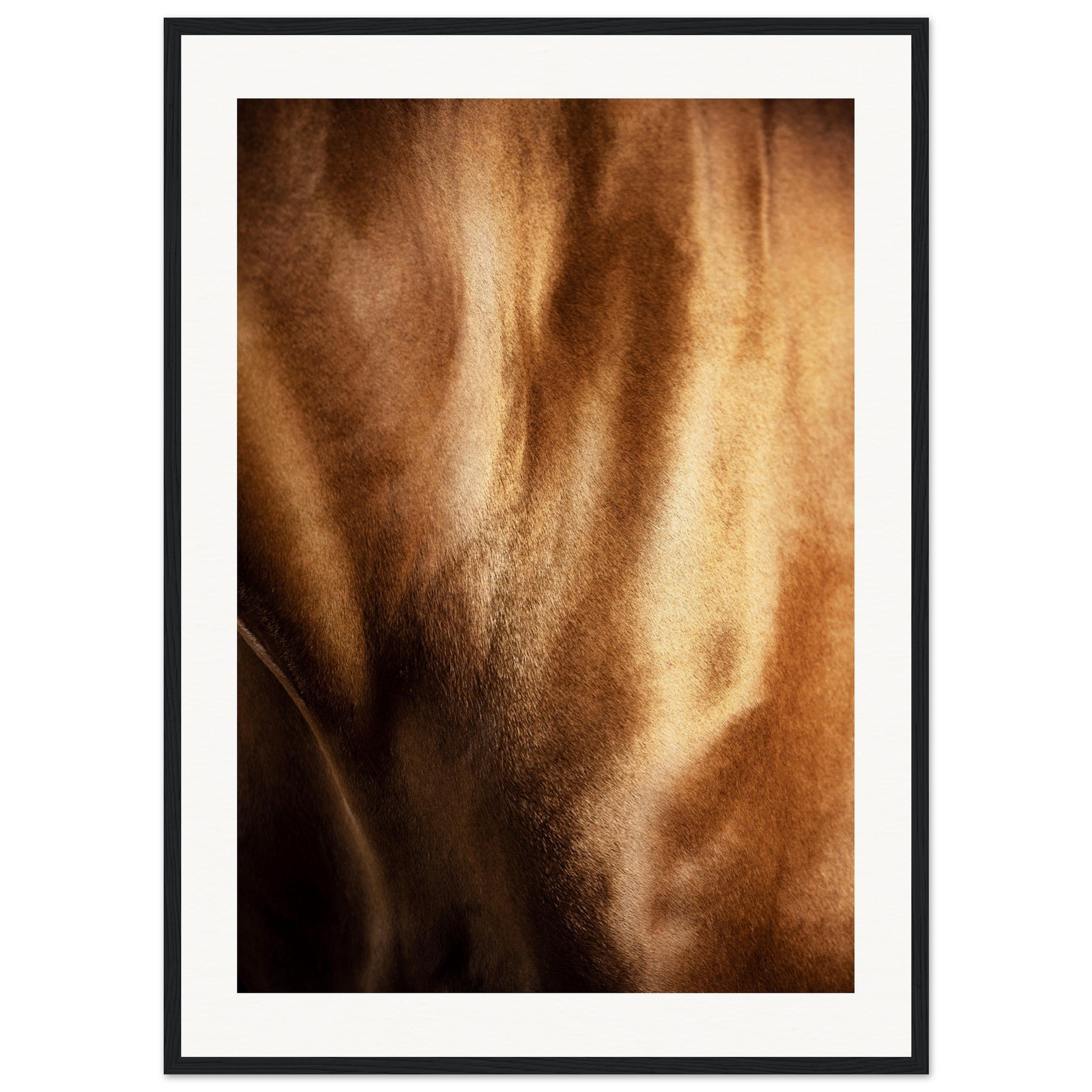 bd861d1f-6297-44e0-8e67-1f18c55afcff