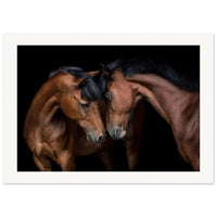 bd9946ca-0488-4918-aec5-3577494d0389