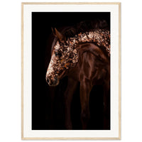 bdc111ac-67a4-478a-a61d-acead24a5f0c