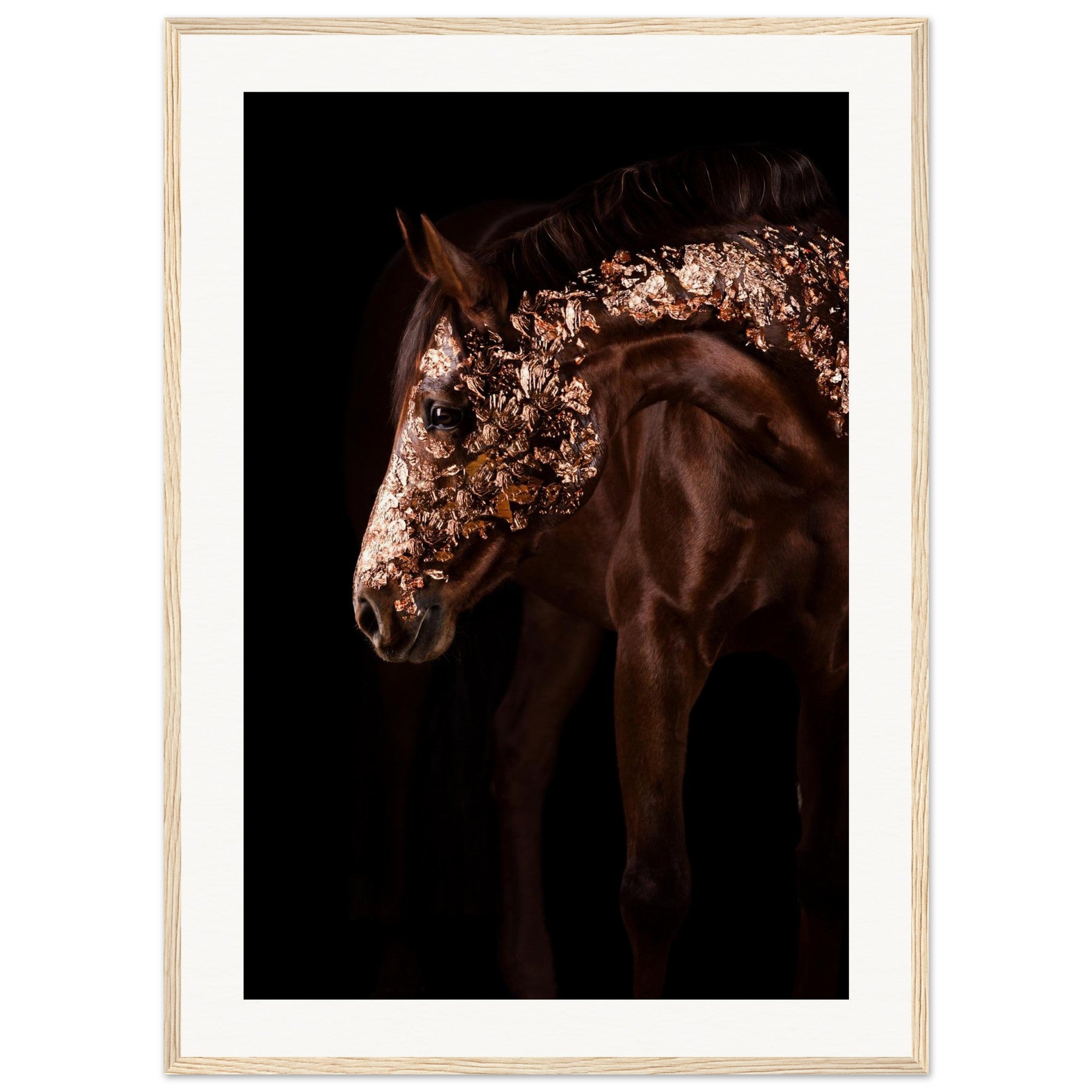 bdc111ac-67a4-478a-a61d-acead24a5f0c