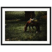 bdd73f81-bf4c-44c0-960e-28eb53cd6b13